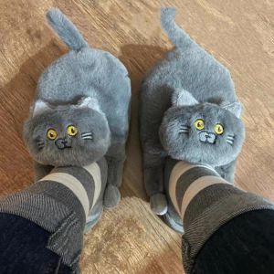 נעלי בית חתולים - נעלי גברים